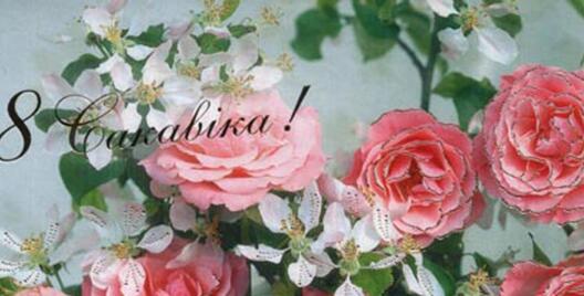 sakavik_0803.jpg sakavik_0803.jpg