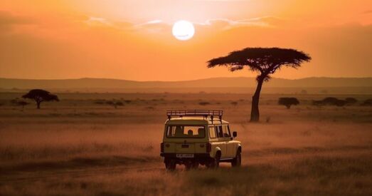 Эксперт: Шчыльнае супрацоўніцтва з краінамі Афрыкі мала дапаможа беларускай эканоміцы