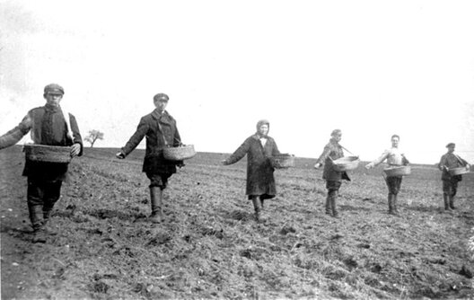 sev_vrucznuju_v_kolhoze_sela_hrin_minskoj_oblasti._udarnaja_brihada_s_sejalkami._1930_h..jpg sev_vrucznuju_v_kolhoze_sela_hrin_minskoj_oblasti._udarnaja_brihada_s_sejalkami._1930_h..jpg