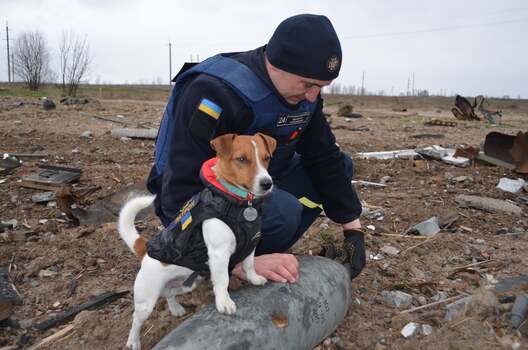 shestovytsia_after_battle__19_april_2022__03_.jpg shestovytsia_after_battle__19_april_2022__03_.jpg