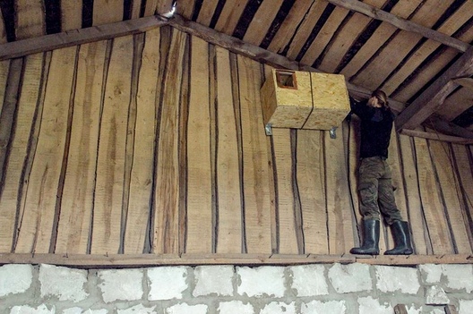 sipuszatnik_2.jpg sipuszatnik_2.jpg