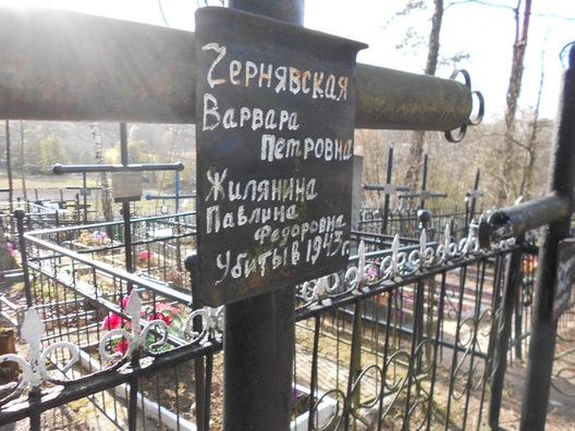 Сямейныя магілы блакаднікаў у вёсцы Янушкавічы. Фота Галіны Каржанеўскай Сямейныя магілы блакаднікаў у вёсцы Янушкавічы. Фота Галіны Каржанеўскай