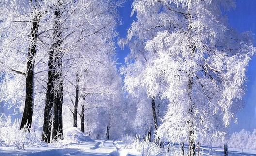 snezhan.jpg snezhan.jpg