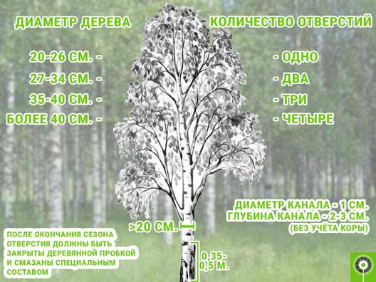 sok_2.jpg sok_2.jpg
