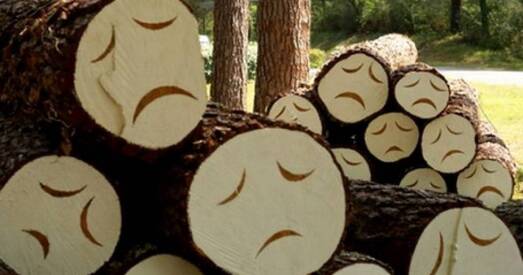 Камунальнікі выклікалі АМАП на жанчыну, што не давалі ім спілаваць дрэва