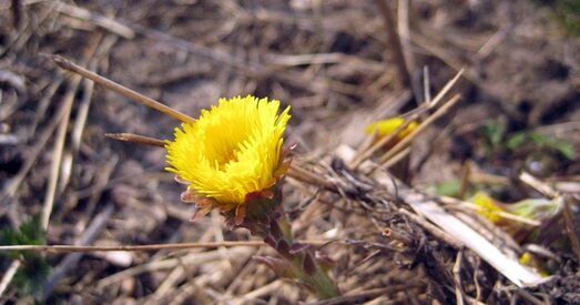 З асцярожным аптымізмам…