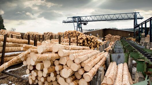 the_ministry_of_industry_proposed_to_ban_the_export_of_wood_products_to_unfriendly_countries_76.jpg the_ministry_of_industry_proposed_to_ban_the_export_of_wood_products_to_unfriendly_countries_76.jpg