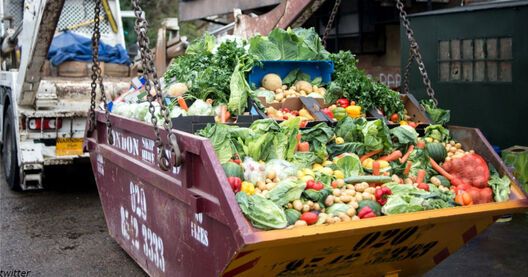 this_is_rubbish_eu_food_pic_2.jpg this_is_rubbish_eu_food_pic_2.jpg