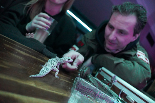 Будні бомбасховішча ў арт-пабе «Торвальд» Будні бомбасховішча ў арт-пабе «Торвальд»