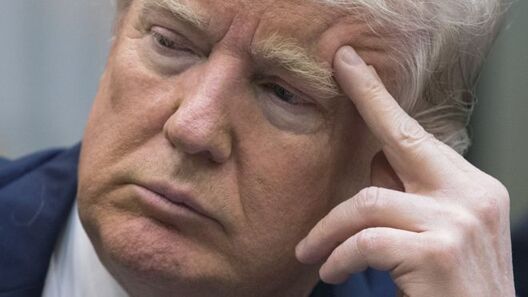 tramp_4.jpg tramp_4.jpg