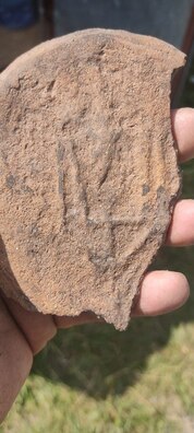 Знаходка археолагаў — донца гаршка з выявай Трызуба. Фота: nasb.gov.by Знаходка археолагаў — донца гаршка з выявай Трызуба. Фота: nasb.gov.by