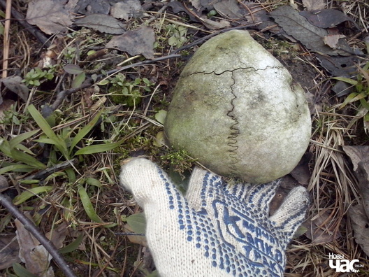 У Кураптах дасюль ззнаходзяць парэшткі людзей... У Кураптах дасюль ззнаходзяць парэшткі людзей...