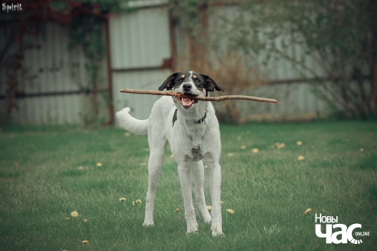 4/5 uaerijxqray_logo.jpg