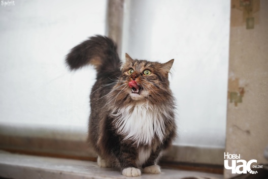 ue21ndypsxs_logo.jpg ue21ndypsxs_logo.jpg