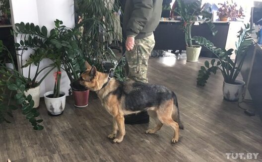 Фота: Ксенія Ельяшэвіч, TUT.BY Фота: Ксенія Ельяшэвіч, TUT.BY