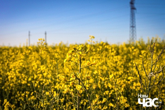 ukraina_bk_novy_chas.jpeg ukraina_bk_novy_chas.jpeg