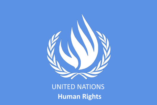 united_nations_human_rights_counil_unhrc.png united_nations_human_rights_counil_unhrc.png