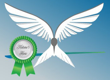 unnamed__5__11.jpg unnamed__5__11.jpg