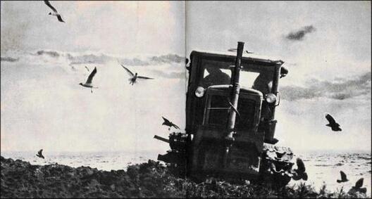 3/4 uploads1407223493.jpg