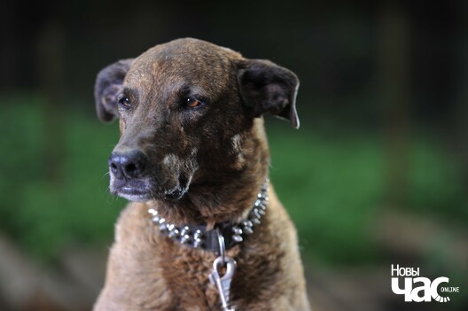 ursoyh_clke_logo.jpg ursoyh_clke_logo.jpg