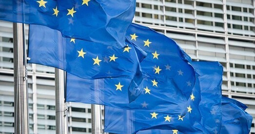 «Перадвыбарчая кампанія пачалася з рэпрэсіяў». Еўрадэпутаты занепакоеныя сітуацыяй у Беларусі