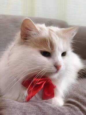 vakanw6hi04_logo.jpg vakanw6hi04_logo.jpg