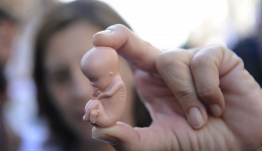 velvet_vykidysh_0_640x368.jpg velvet_vykidysh_0_640x368.jpg