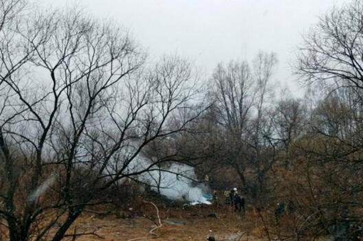 2/4 vertaliot_1104_3.jpg