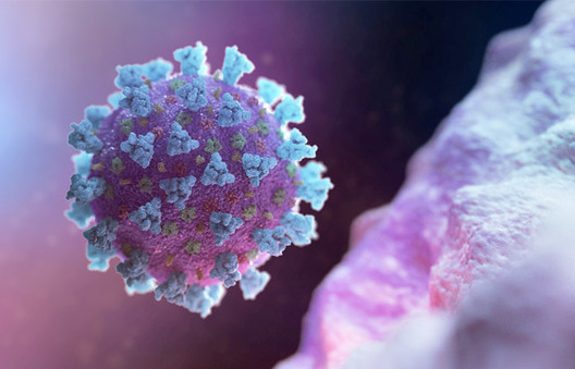 virus700.jpg virus700.jpg