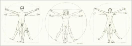 «Вітрувіянскі чалавек» Леанарда да Вінчы (пасярэдзіне) і аналагічныя малюнкі з прапорцыямі сучасных мужчын і жанчын «Вітрувіянскі чалавек» Леанарда да Вінчы (пасярэдзіне) і аналагічныя малюнкі з прапорцыямі сучасных мужчын і жанчын