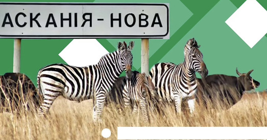 Расійцы знішчылі запаведнік «Каменныя магілы» і «Асканія-Нова» на акупаваных тэрыторыях Украіны