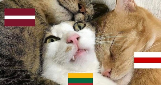 Латвія збіраецца пабудаваць АЭС ля дзяржаўнай мяжы з Беларуссю і Літвой. Што вядома?