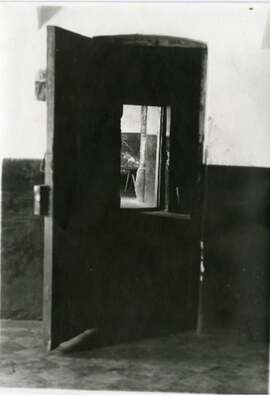 volodarka3.jpg volodarka3.jpg