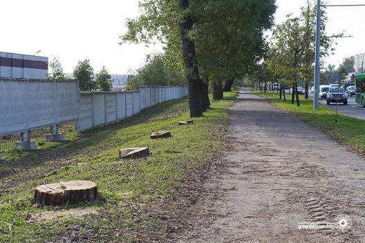 vysechka_6.jpg vysechka_6.jpg