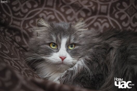 w6eezcguotg_logo.jpg w6eezcguotg_logo.jpg