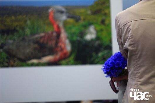 16/19 wpp_18_logo.jpg