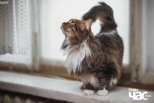 xa7byykwvjc_logo.jpg xa7byykwvjc_logo.jpg