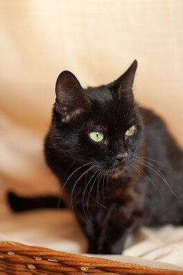 xq9r1531_logo.jpg xq9r1531_logo.jpg