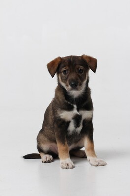 y5c1n9gntso_logo.jpg y5c1n9gntso_logo.jpg