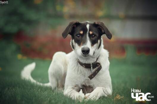 y_lokpycja8_logo.jpg y_lokpycja8_logo.jpg