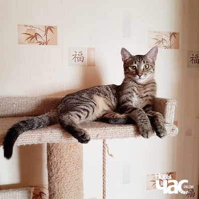 yxrhrm0oagw_logo.jpg yxrhrm0oagw_logo.jpg