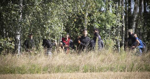 Блукалі два тыдні па лесе, елі яблыкі і кукурузу з палёў. Праваабаронцы пагаварылі з уцекачамі, якія перайшлі беларуска-польскую мяжу