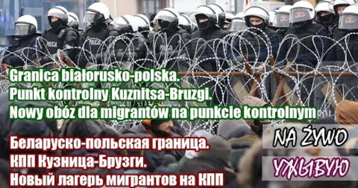Мігранты на беларуска-польскай мяжы пачалі атаку на кардон памежнікаў (відэа анлайн)