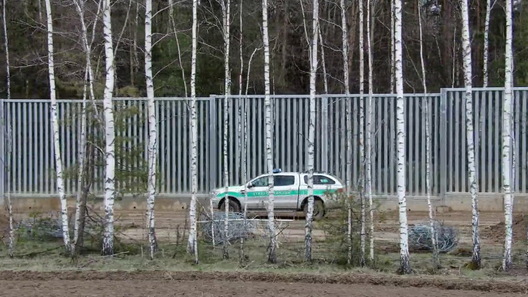 zabor2.jpg zabor2.jpg