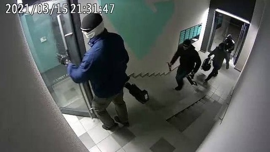 zaderzhaniya_v_novoy_borovoy.jpg zaderzhaniya_v_novoy_borovoy.jpg