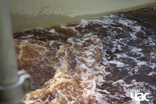 4/10 zavod__22__logo.jpg