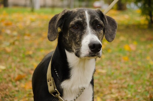 zdpjfv54xxc_logo.jpg zdpjfv54xxc_logo.jpg