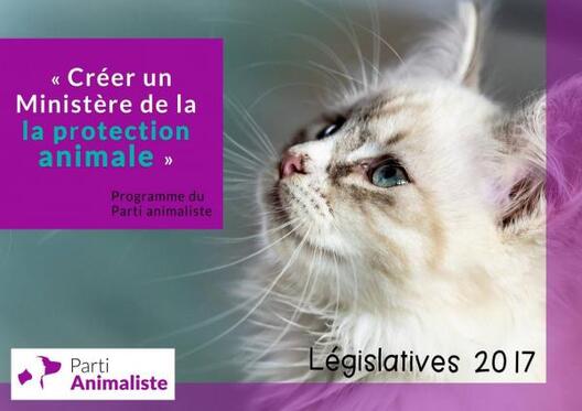 Фота parti-animaliste.fr Фота parti-animaliste.fr