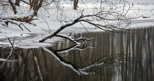 Артыкулы «Новага Часу», якія вы маглі прапусціць на гэтым тыдні