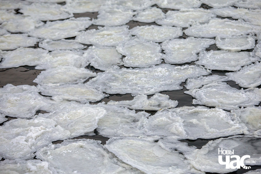 zima_holad_fota_dzmitryja_dzmitryeva_novy_czas6__1_.jpg zima_holad_fota_dzmitryja_dzmitryeva_novy_czas6__1_.jpg